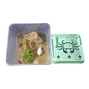 迷你辣椒蟹专用缸螃蟹宠物蟹爬梯淡水小螃蟹桌面宠物辣椒蟹专用沙