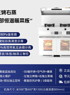 志高白色集成灶家用厨房变频消毒蒸烤一体灶升级气电两用集成灶