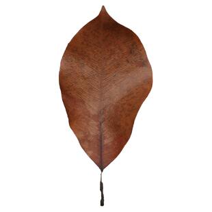 树叶落叶秋天INS风装饰真枫叶枯树叶干树叶天然叶DIY手工橱窗道具