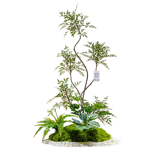 森空间入户玄关植物造景高级感仿真绿植采光井微景观软装搭配摆件