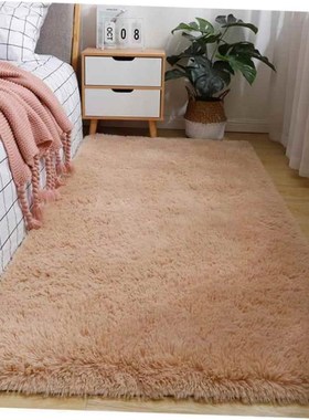 Plush Carpet Living Room BedroomE Fluffy Rug Floor Mat 地毯1