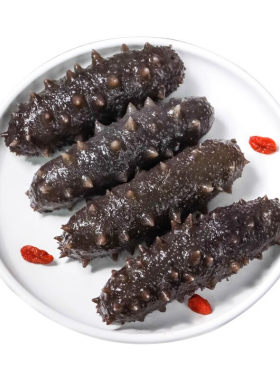 即食海参刺参辽参高压冷冻鲜食海参500g生鲜独立单只装包邮