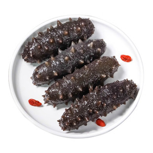 即食海参刺参辽参高压冷冻鲜食海参500g生鲜独立单只装包邮