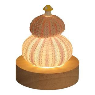 diy手工贝壳海胆小夜灯送女朋友儿童实用高级感生日礼物女生闺蜜