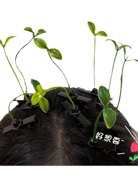 神器小草发夹搞怪豆苗小花豆芽头上长草发芽饰品小鸡发夹稀奇古怪