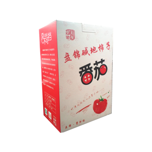 【盘锦碱地柿子】新鲜脆甜水果番茄草莓鹰爪铁皮西红柿子市子绿腚