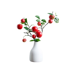 仿真苹果石榴树枝果实摆件客厅玄关假花高级感逼真绿植家居装饰品