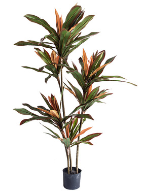 北欧ins风室内红铁树仿真植物