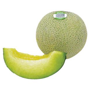 日本美琪美花甜瓜种子种籽孑苗秧网纹特甜香瓜新疆哈密瓜高产瓜苗