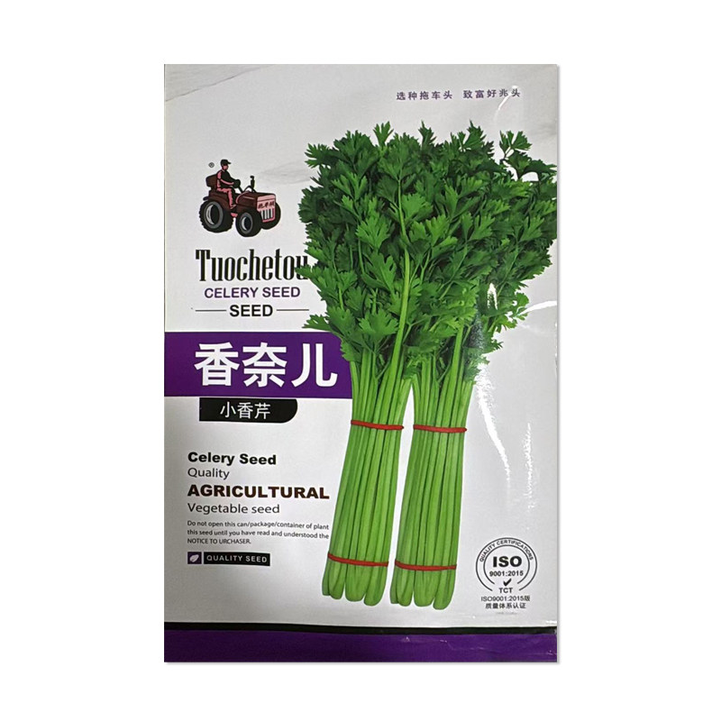拖车头香奈小香芹种子