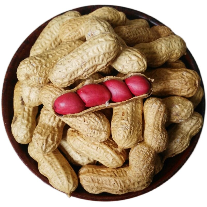 新货东北500g现炒扶余四粒红花生