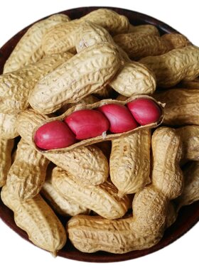 新货东北500g现炒扶余四粒红花生