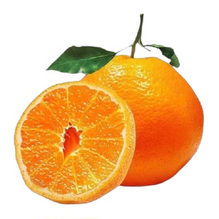 四川新鲜水果春见耙耙柑应季桔子橘子手剥当季水果现摘整箱