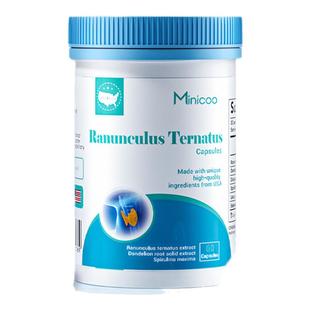 【官方旗舰店】minicoo咪尼可猫爪草护肺部健康脖子肿蒲公英