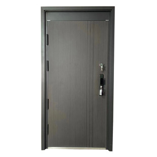 双人双锁防盗门甲级两把锁枪械药品库学校保密财务银行化学实验门