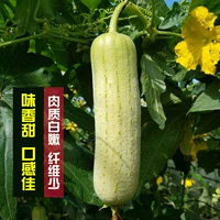 Люфа белая экстрараннеспелая 2г простая упаковка около 15 штук