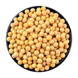 【打豆浆专用】东北黄豆 新豆大豆 农家高蛋白黄豆500g