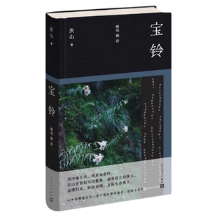 宝铃庆山新书2025全新作品安妮宝贝短句诗歌集语言珠玉文学散文随笔现当代文学畅销书籍人民文学出版社正版七月与安生清冽的内在