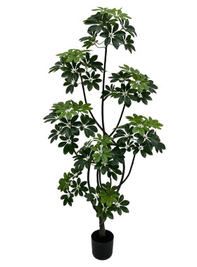 仿真绿植鸭脚木高端轻奢真植复刻