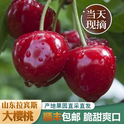 高品质【纯甜美早】现摘正宗山东烟台大樱桃新鲜水果顺丰26-34mm
