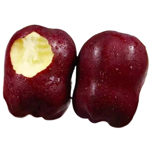 花牛苹果甘肃天水官方旗舰店整箱高山粉面新鲜正宗2025年当季礼盒