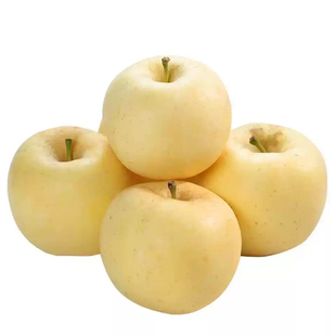 山东烟台黄金奶油富士苹果栖霞苹果脆甜多汁乐