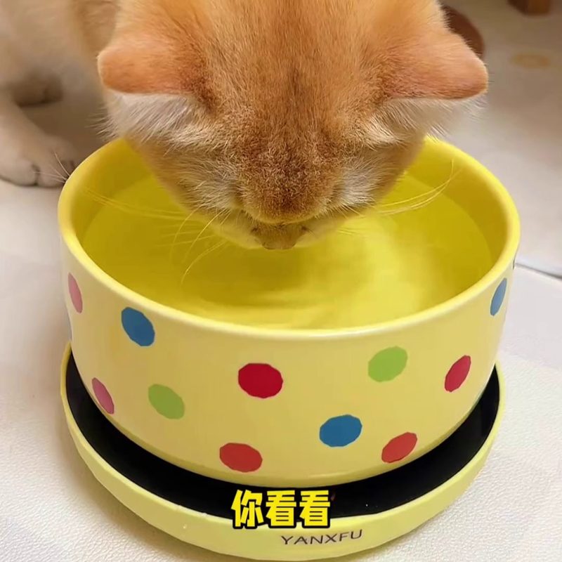恒温猫咪饮水机酸奶机冬天喝水碗加热保温水宠物饮水器防打翻猫碗