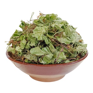 贵州洗净晒干野生积雪草中药材新鲜干货马蹄草雷公根铜钱草马蹄菜