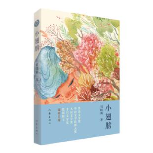 小翅膀 周晓枫 《聋天使》《巨鲸歌唱》《有如候鸟》作者周晓枫首部 儿童文学作品 作家出版社