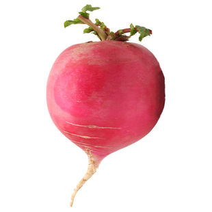 【甜菜根种子】青丰红甜菜 紫菜头种子红菜头 营养蔬菜 红甜菜根