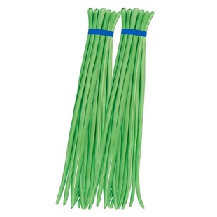 豇豆种子蔬菜种籽长四季豆芸豆春秋季豆角大全孑种苗豆种紫根无架