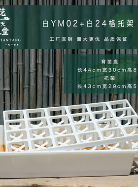 多肉浸盆蓄水盘托架组合播种叶插方盆育苗盘花卉果蔬育苗闷养箱