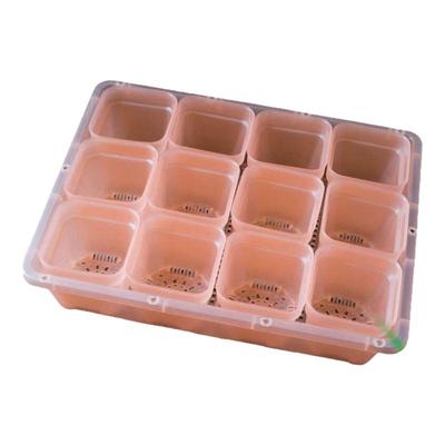 花一天堂透粉盆整理筐盘