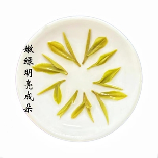 2025新茶头采明前一级125g罐绩溪金山时雨绿茶传统揉捻制法嫩花香