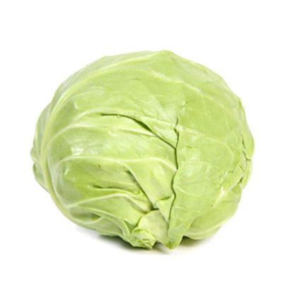 正宗绿甘蓝苗子阳台盆栽