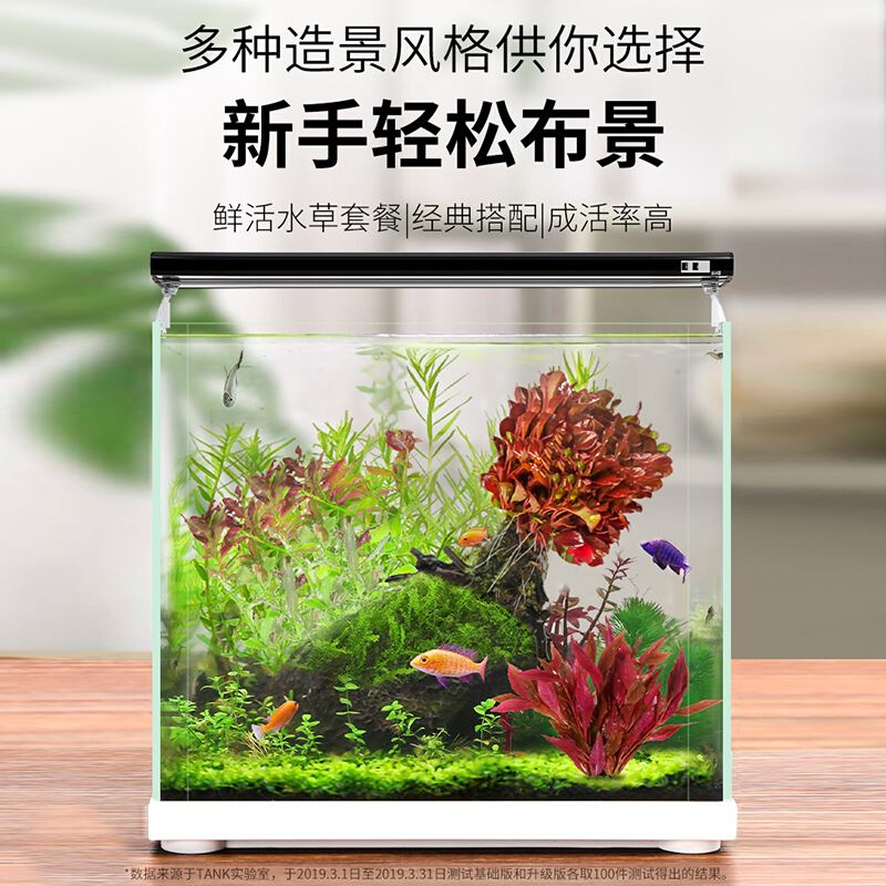 草缸造景套餐成品真水草天然水族箱草坪小型家用新手鱼缸装饰套餐