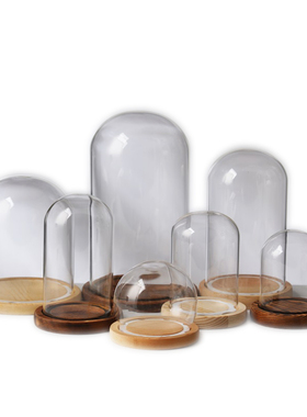 永生花玻璃罩防尘透明展示盒