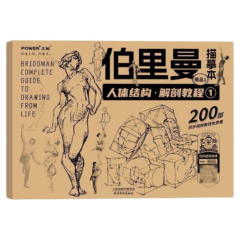 伯里曼人体结构绘画教程书 人物速写素描基础绘画入门 配套描摹本
