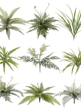 仿真蕨类植物高仿生波斯叶软胶绿植摆件拍摄道具墙面景观造景蕨草