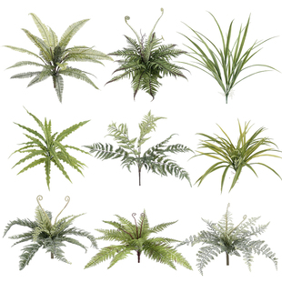 仿真蕨类植物高仿生波斯叶软胶绿植摆件拍摄道具墙面景观造景蕨草