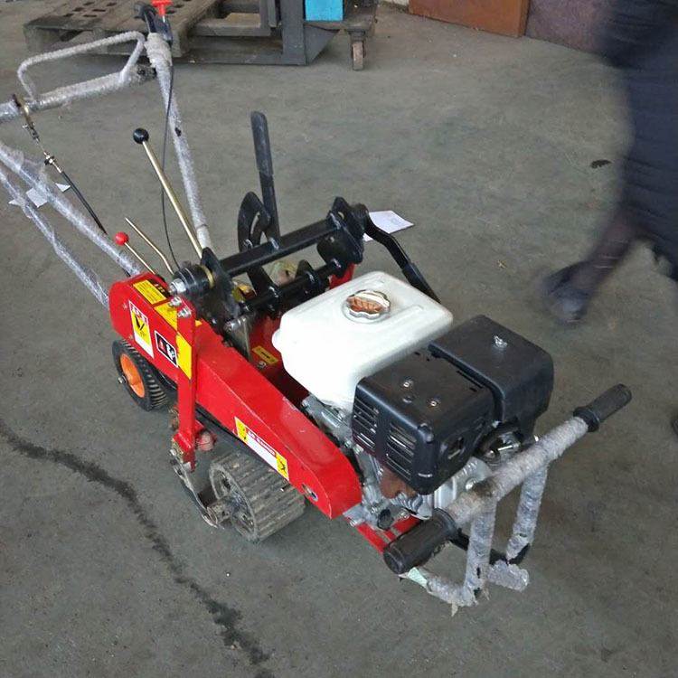 汽油起草机 手推起草皮机 草皮铲除机 挖草皮机 足球场用起草皮机,鲜花速递/花卉仿真/绿植园艺,割草机/草坪机,淘宝优惠券,粉丝福利购,淘宝优惠卷