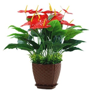 包邮仿真绿植红掌假花客厅装饰绿色植物落地塑料假花摆设盆栽盆景