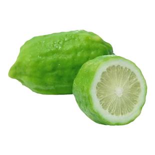 广东香水柠檬一级果奶茶店专用新鲜现摘现发无籽香柠檬青柠檬