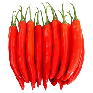 正宗新鲜小米辣椒特辣红米辣椒鲜椒特级朝天椒红辣椒新鲜带箱装