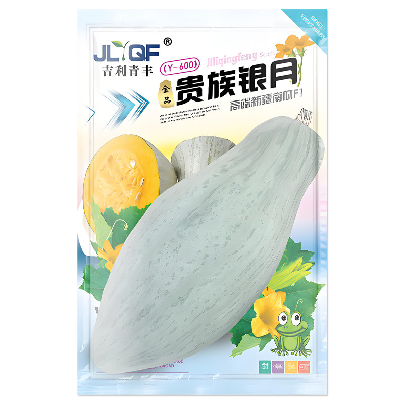 贵族银月南瓜种子新疆丑瓜种籽
