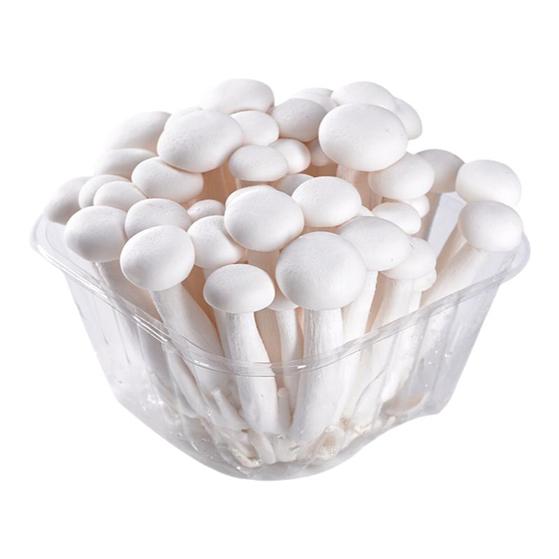 白玉菇新鲜菌菇食用火锅煲汤食材