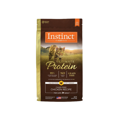 贝耳家试吃百利高蛋白幼猫