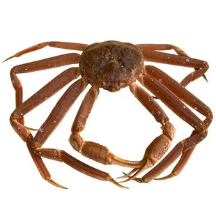 鲜活松叶蟹俄罗斯活体长脚蟹新鲜板蟹腿棒红毛蟹帝王雪蟹海鲜水产