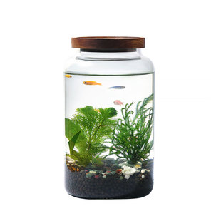 生态瓶水草小鱼缸玻璃办公桌面微景观生日情侣礼物DIY作业免换水