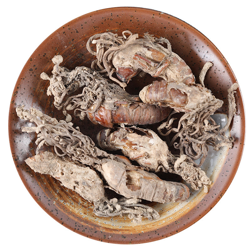 中药材金蝉花500克正品